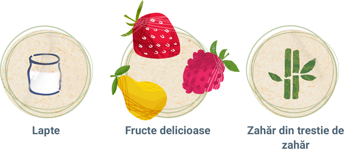 lapte-zahar-fructe